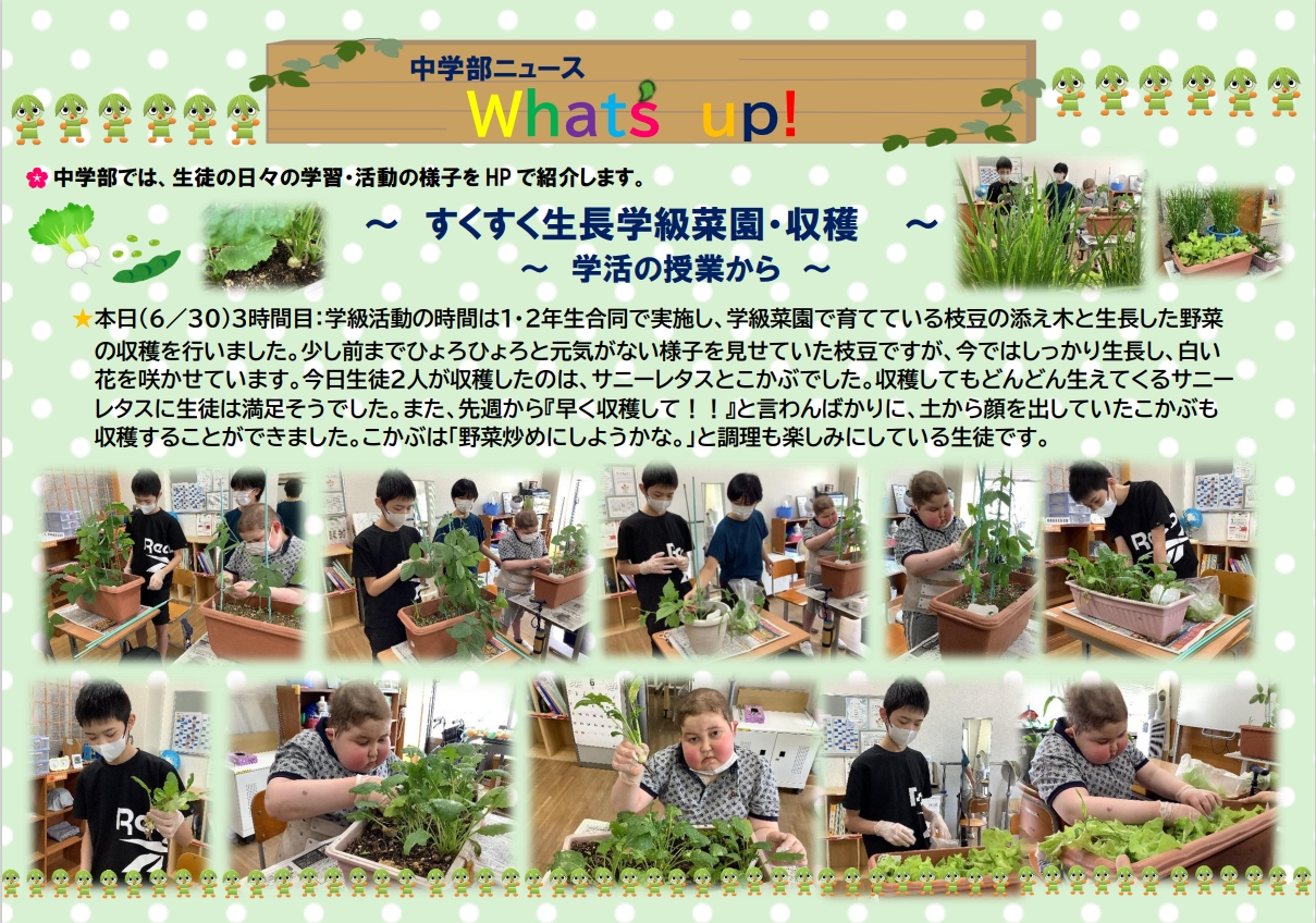 スクリーンショット_30-6-2025_154032_